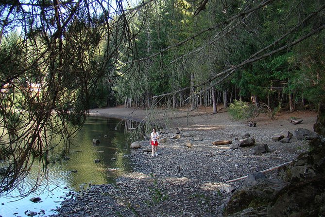 Excursion to San Martin de los Andes via 7-lake Circuit, from Bariloche - Key Highlights at a Glance