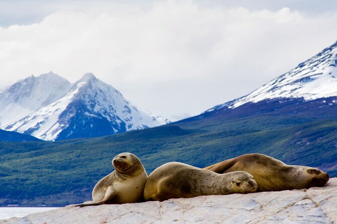 Explore the Beagle Channel: Navigate and Trek the Bridges Islands - Starting at Tolkeyen Patagonia Turismo, then cruising past Ushuaia’s coastline