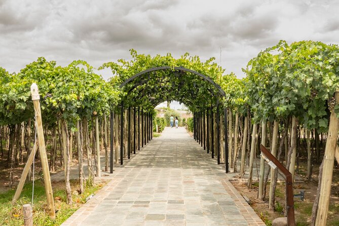Exploring El Enemigo & Casa Vigil / Meet Mendoza´s Wine Icon - Price and Value: Does $86 Make Sense?