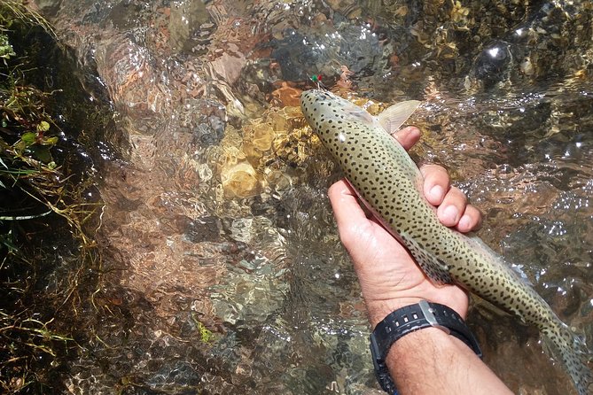 Fly Fishing on Private Andean River Including Barbecue Lunch - Driving Through Mendoza’s Famous Stops on the Way to La Carrera