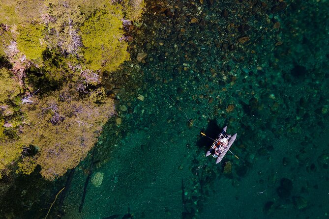 Fly Fishing Trips & Guide Service in Bariloche - Price and value: what $660 covers, and how the license fits