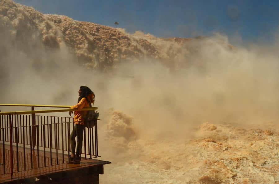 Foz do Iguaçu: Brazil/Argentina Sides Iguazu Falls Day Tour - Price and Real Costs: Is $49 Good Value?