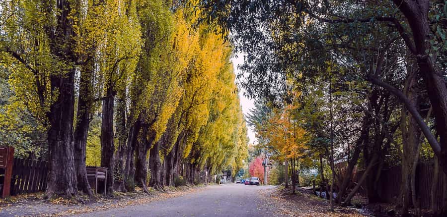 From Bariloche: Chico Circuit & Colonia Suiza Tour - Puerto Panuelo and viewpoints: where to use your time wisely