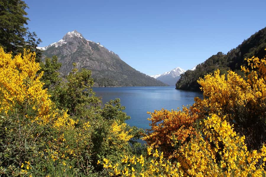 From Bariloche: Half-Day Circuito Chico Sightseeing Tour - Llao Llao Hotel and San Eduardo Chapel, Why These Stops Matter