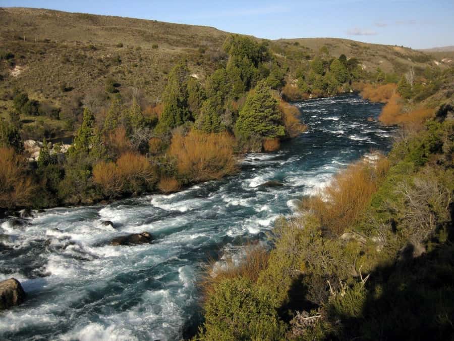 From Bariloche: San Martin de los Andes and 7 Lakes Circuit - Why This 9-Hour Bariloche To San Martín Route Feels Worth It