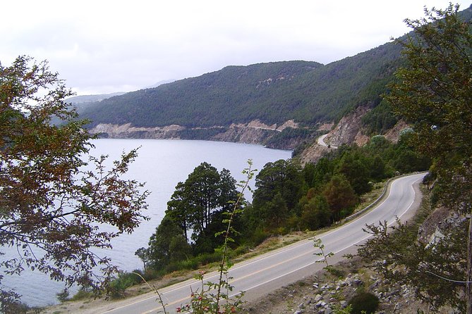 From Bariloche: San Martín de los Andes by The 7 Lakes Route - Price and Value: Is $60 a Good Deal Here?