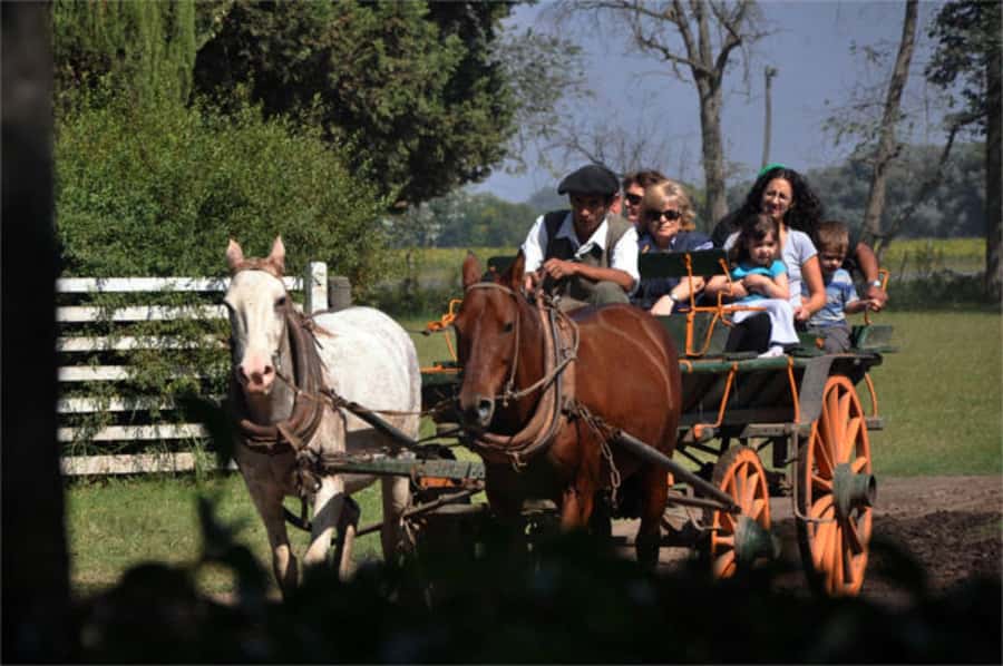From Buenos Aires: Estancia Don Silvano Tour with Lunch. - Key things to know before you go