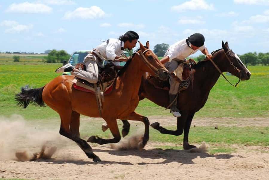 From Buenos Aires: Estancia Don Silvano Tour with Lunch. - The 8-Hour Schedule: Pickup, Van Time, and When the Fun Peaks