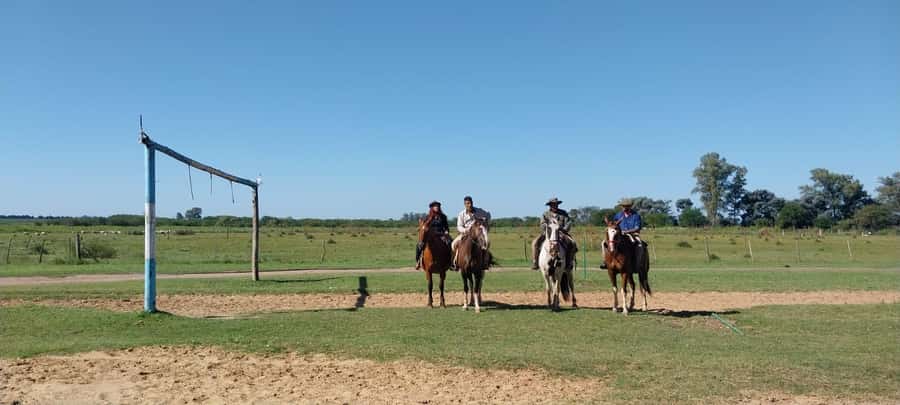 From Buenos Aires: Estancia Don Silvano Tour with Lunch. - The Creole Roast Lunch: Food That Usually Wins the Day
