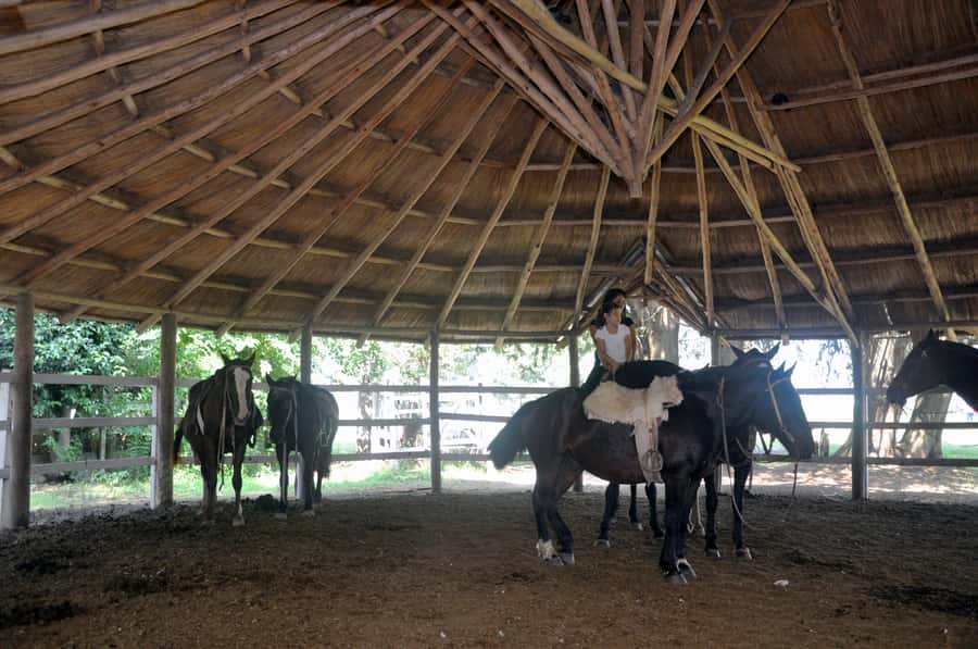 From Buenos Aires: Estancia Don Silvano Tour with Lunch. - Afternoon Tea and Local Snacks: How the Day Stays Comfortable