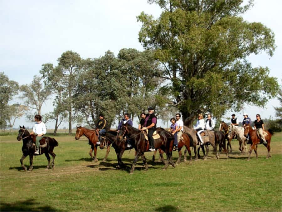 From Buenos Aires: Estancia Don Silvano Tour with Lunch. - Silvano’s Story and the 1930 Casco: Why This Estancia Feels Personal