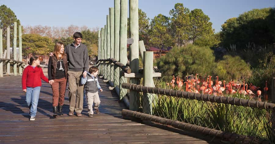 From Buenos Aires: Full-Day Temaiken Eco Park - Inside the park: how the habitats are laid out for learning