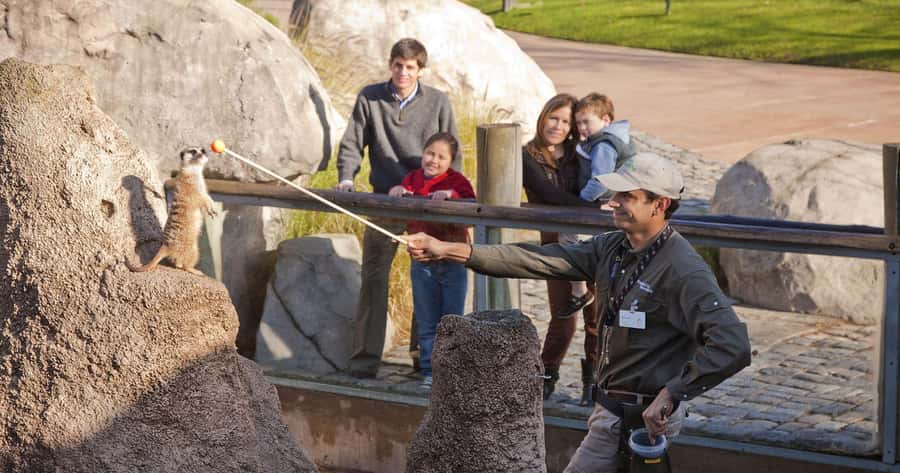 From Buenos Aires: Full-Day Temaiken Eco Park - Your 6 hours at Temaiken: how to use the time well
