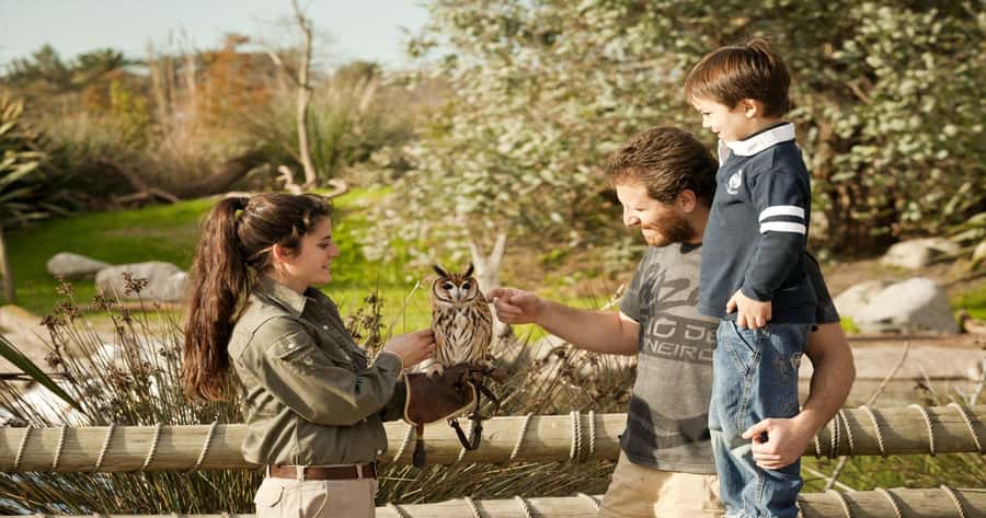 From Buenos Aires: Full-Day Temaiken Eco Park - Price and value: what $150 gets you, and where value can slip