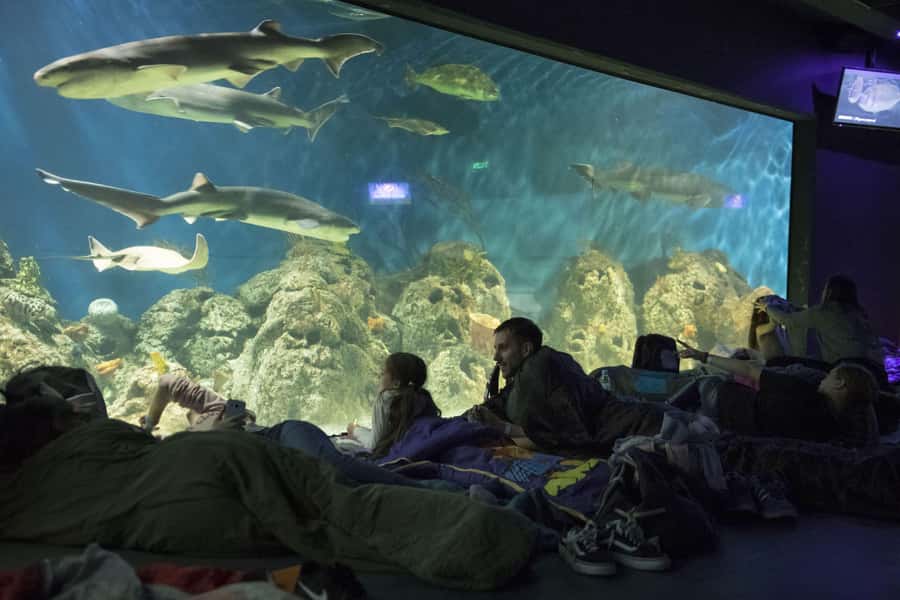 From Buenos Aires: Full-Day Temaiken Eco Park - Who should book this day trip from Buenos Aires