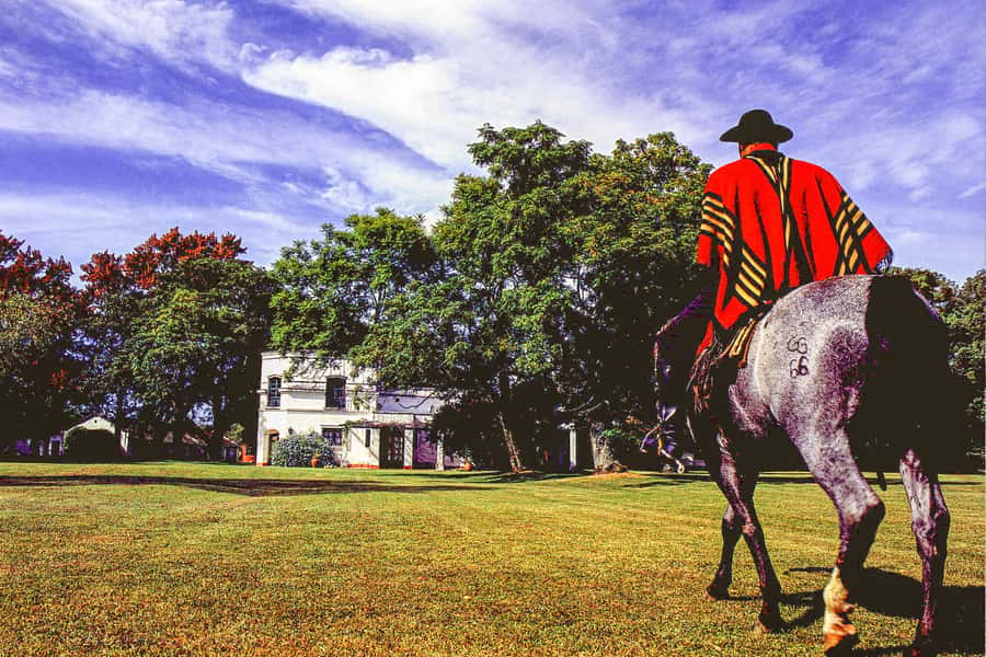 From Buenos Aires: Gaucho and Ranch Day Tour - Buenos Aires to the Pampas, what this day trip really gives you