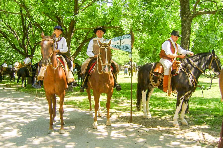 From Buenos Aires: Gaucho and Ranch Day Tour - The drive from your hotel: time in the bus is the trade-off