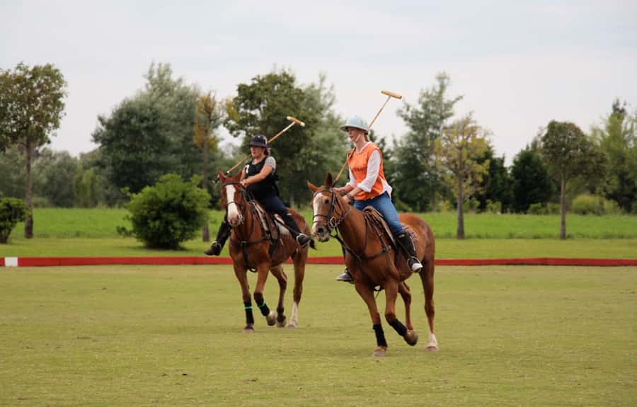 From Buenos Aires: Polo Match, Lesson, and BBQ Day-Trip - A 9-hour polo day 80km from Buenos Aires