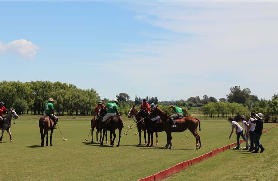 From Buenos Aires: Polo Match, Lesson, and BBQ Day-Trip - The live pro match, plus the pony line you can actually see