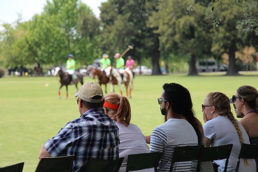 From Buenos Aires: Polo Match, Lesson, and BBQ Day-Trip - Between chukkers: foot mallet techniques that make the lesson click