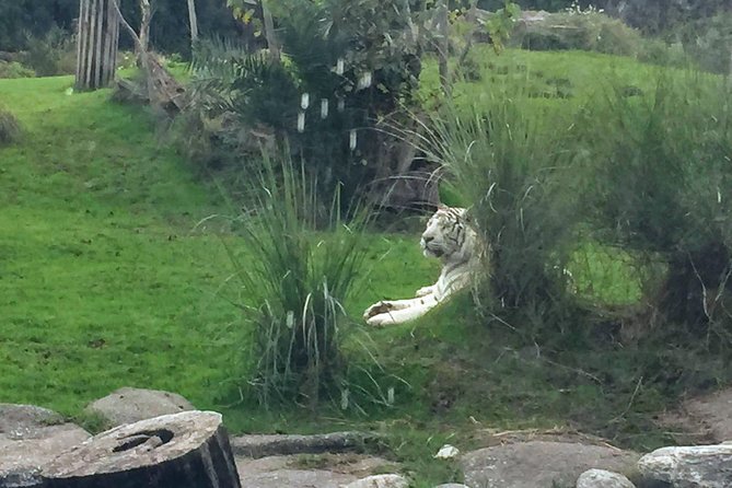 From Buenos Aires: Temaiken Biopark with Transfer and Tickets - A 7 to 8 hour Temaiken day trip from downtown Buenos Aires