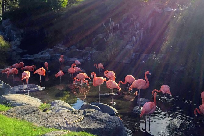 From Buenos Aires: Temaiken Biopark with Transfer and Tickets - Price and value: what $73 per person really covers