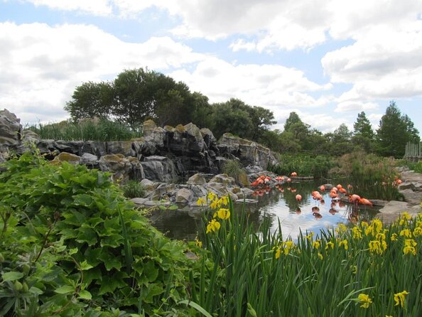 From Buenos Aires: Temaiken Biopark with Transfer and Tickets - Hotel pickup: the part that saves you stress