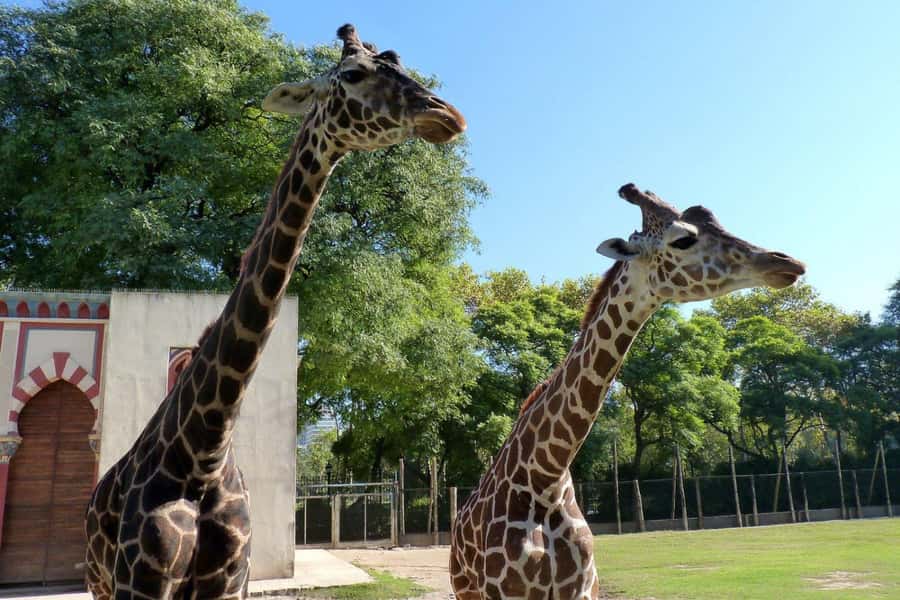 From Buenos Aires: Temaiken Zoo Tour with Ticket Included - Temaikén Biopark in a 6-hour format: aquarium, aviary, and La Chacra