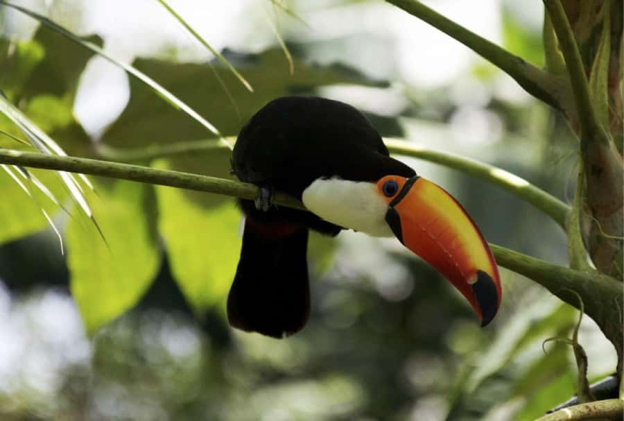 From Buenos Aires: Temaiken Zoo Tour with Ticket Included - Price and value: is $135 worth it for this day?