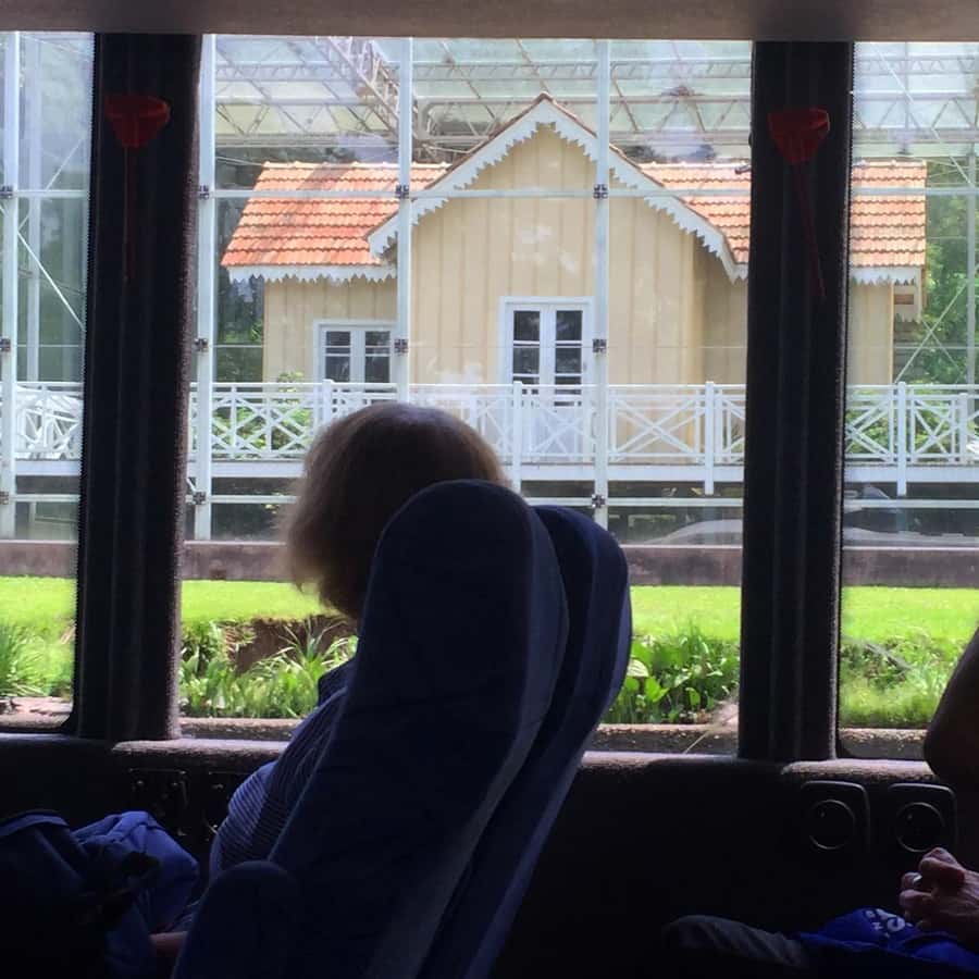 From Buenos Aires: Tigre & Delta with Sailing Premium Tour - A few smart decisions before you go