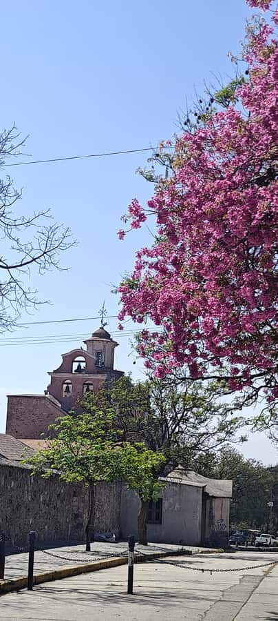 From Cordoba: Alta Gracia HalfDay Tour - Che Guevara Museum and the life story thread