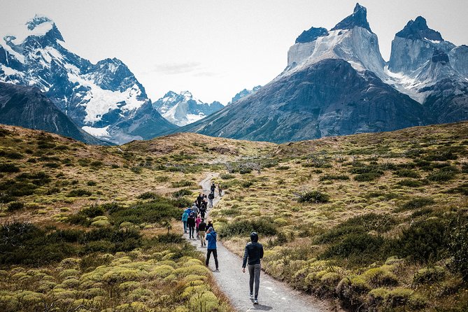 From El Calafate: Full-Day Tour to Torres del Paine - Key reasons this day trip works well