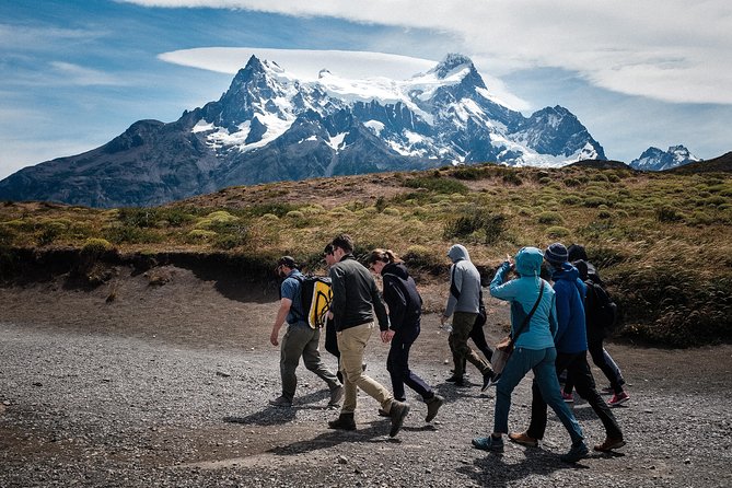From El Calafate: Full-Day Tour to Torres del Paine - Getting what you pay for: price, park fees, and hidden-ish costs