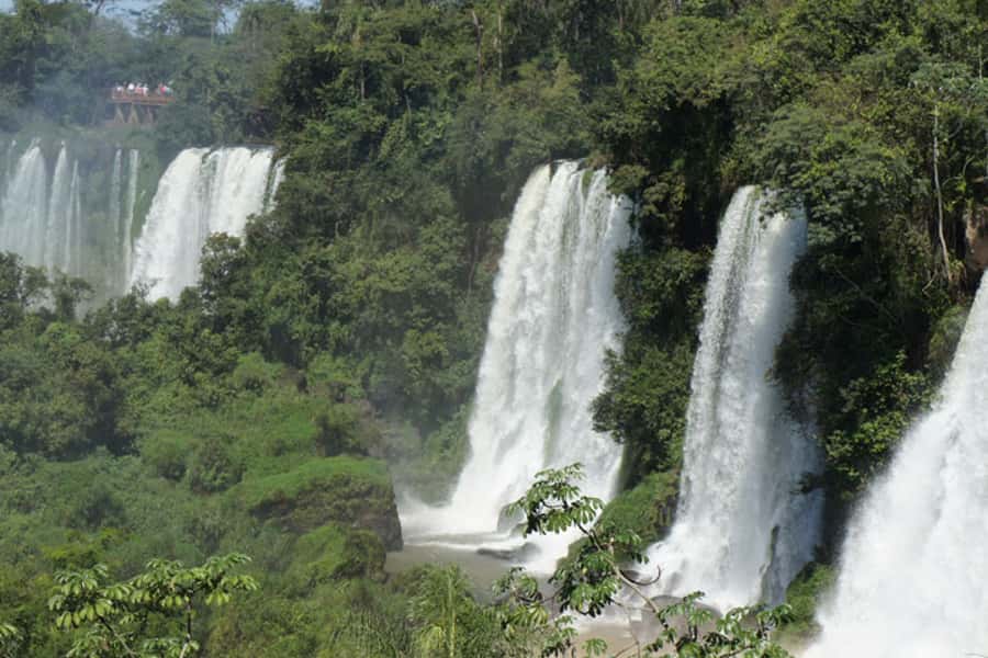 From Foz do Iguaçu: Tour to Argentinian Falls - Pickups, Van Time, and a Practical 8-Hour Day