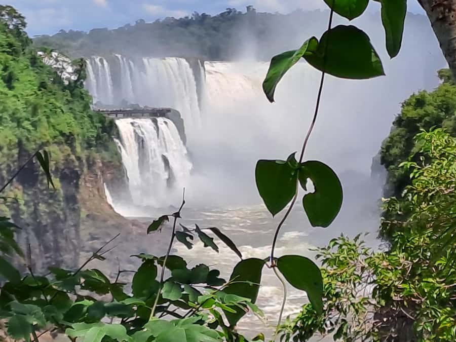 From Foz do Iguaçu: Tour to Argentinian Falls - Lower, Upper, and Devil’s Throat: What the Walk Feels Like