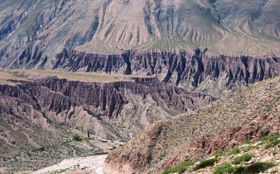 From Jujuy: Salinas Grandes with Purmamarca - Timing, transport, and why delays can matter here