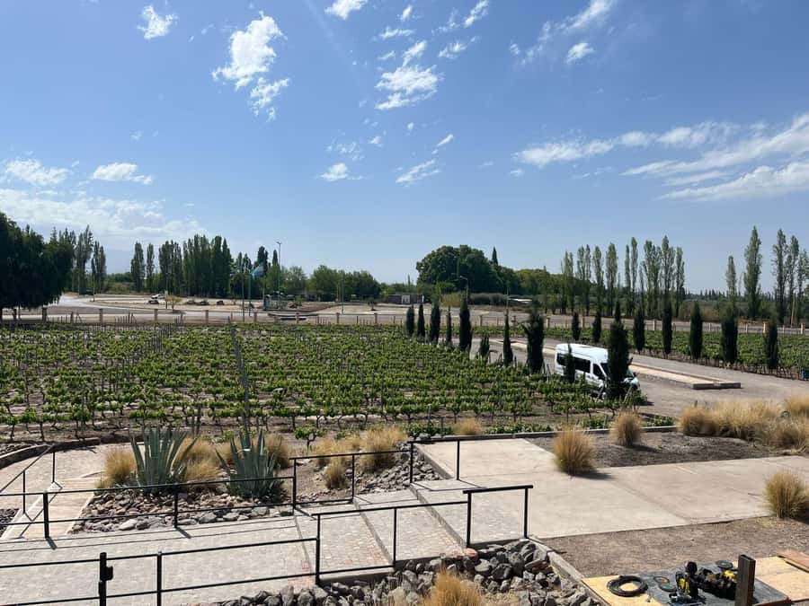 From Mendoza: 3 Wineries, Olive Oil Factory Tour & Tasting - Key points that make this tour a strong pick