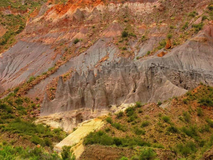 From Mendoza: A Trip Across the Mountain to Atuel Canyon - How the day runs from Mendoza, with a small-group morning departure