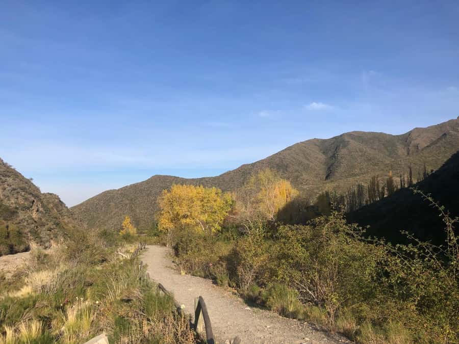 From Mendoza: Andes High Mountain Full-Day Tour - Cacheuta, Potrerillos Dam, and the Andes Power Theme
