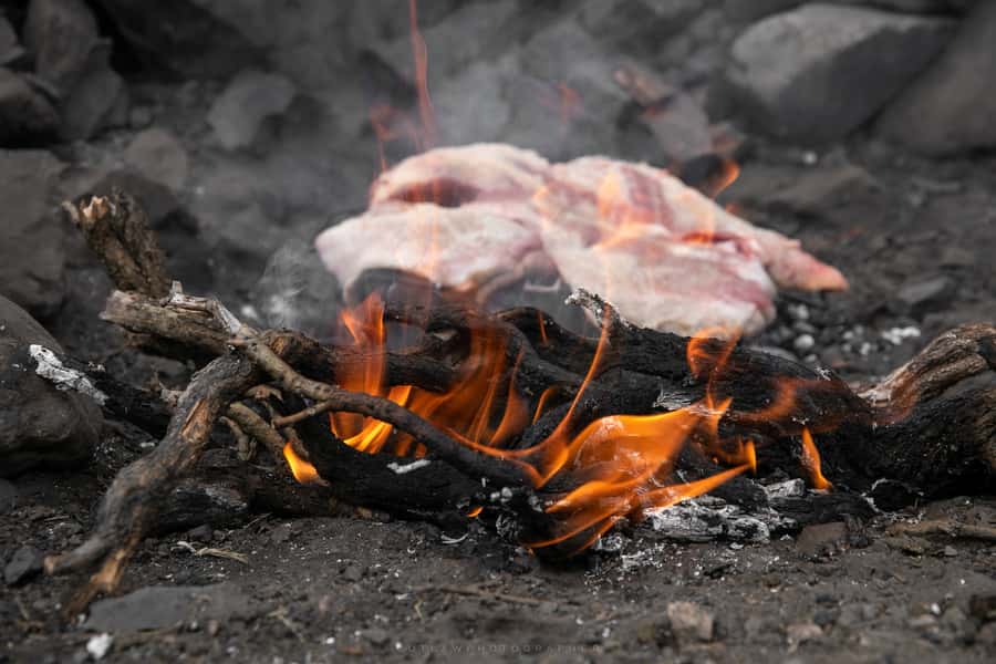 From Mendoza: Full Day Gaucho Experience - The Andes horseback ride: guided, scenic, and very likely to include wildlife