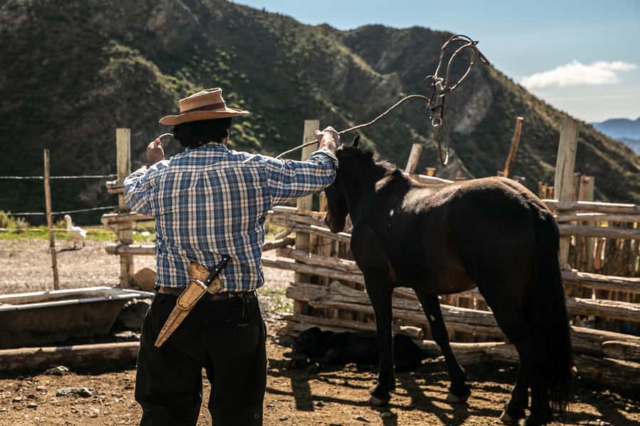 From Mendoza: Full Day Gaucho Experience - Asado and wine after the saddle: the real reason people remember this day