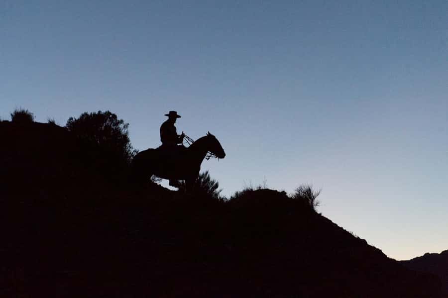 From Mendoza: Sunset Horseback Ride and Asado in the Andes - Asado dinner after the ride: meats, salads, roasted vegetables, and included drinks