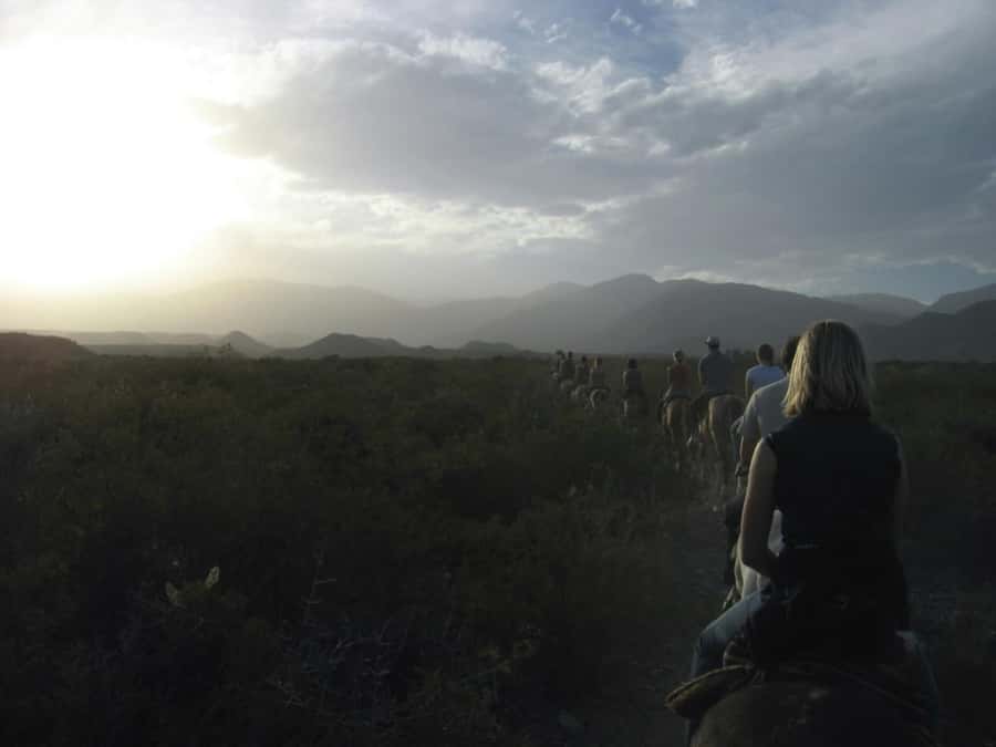 From Mendoza: Sunset Horseback Ride and Asado in the Andes - Should you book the sunset horse ride and asado in Mendoza?