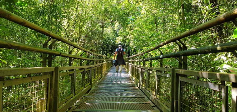 From Puerto Iguazu: Argentinian Iguazu Falls with Boat Ride - Price and value: what $197 gets you