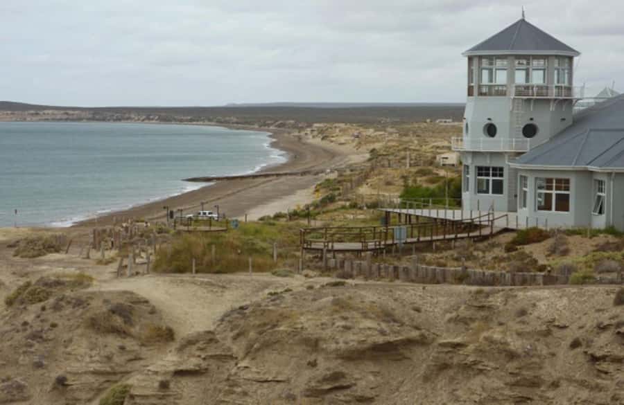 From Puerto Madryn: City and Punta Loma Tour - Heading to Paraná Beach and Punta Loma Sea Lion Reserve