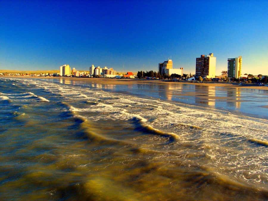 From Puerto Madryn: City and Punta Loma Tour - Price and Value for a Two-Hour Experience