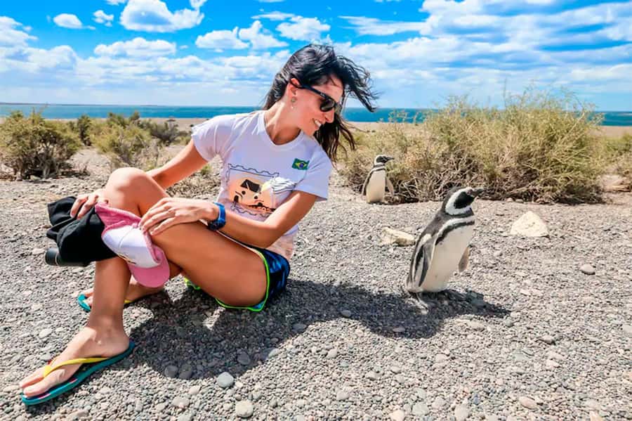 From Puerto Madryn: Full Day Excursion to Punta Tombo - At the rookery: what time with thousands of penguins feels like
