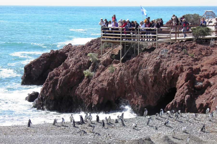From Puerto Madryn: Full Day Excursion to Punta Tombo - Punta Tombo Interpretation Center: useful context, but don’t let it steal your best penguin minutes