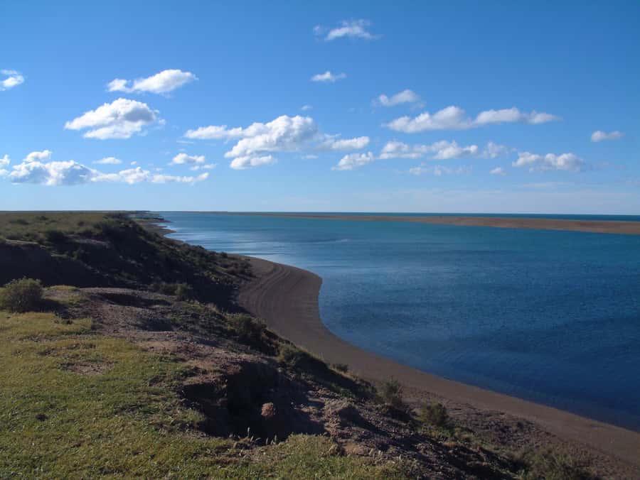 From Puerto Madryn: Full-Day Valdes Peninsula Tour - Punta Norte and the sea lion colony: seasonal wildlife patterns you can plan