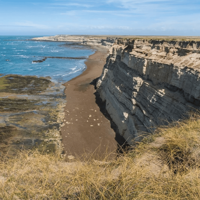 From Puerto Madryn: Peninsula Valdés Shore Excursion - What’s included, what costs extra, and when it feels like value